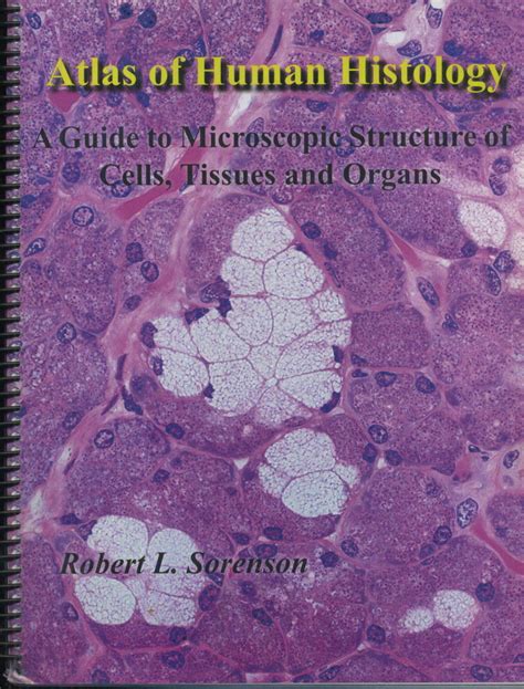 Atlas Of Human Histology A Guide To Microscopic Structure Of Cells