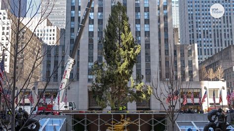 A First Look At The 2023 Rockefeller Center Christmas Tree 59 Off