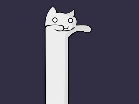 1920x1200 Fantasy Art Cat Kittens Minimalism Memes Longcat Wallpaper