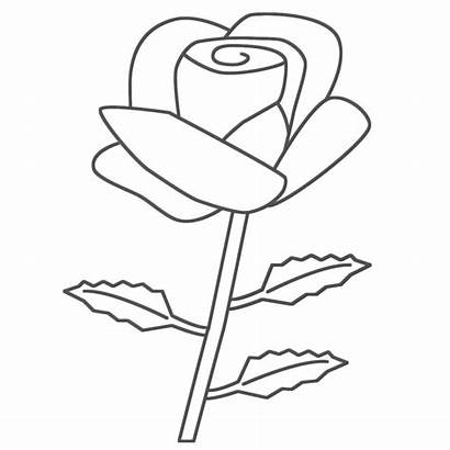 Coloring Rose Roses Printable