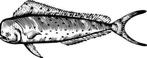 Mahi Mahi Coloring Pages