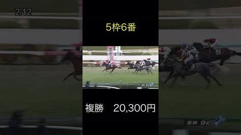 競馬 10万円まで複勝ころがし〜10コロ目 20300円 競馬動画まとめ