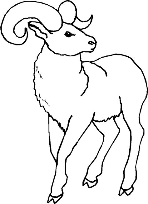 Ram Coloring Page at GetColorings.com | Free printable colorings pages