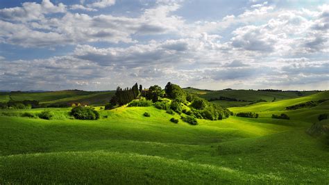 Download Wallpaper 1920x1080 Grass Summer Field Sky Light Full Hd