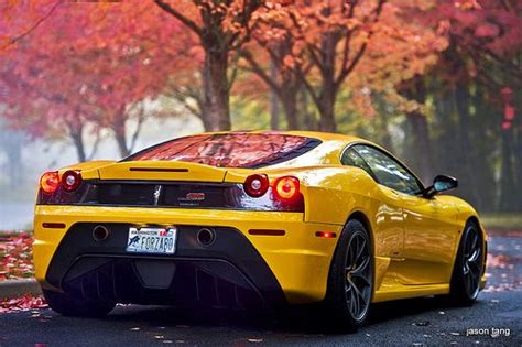Welcome to the official account of ferrari, italian excellence that makes the world dream. "A little splash of colour" | Cars, Super cars, Ferrari car