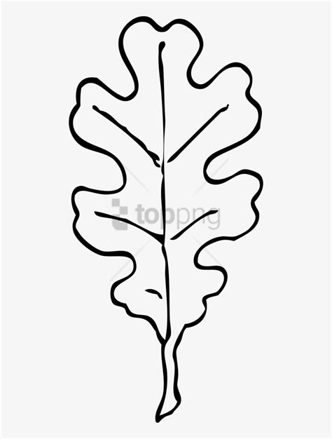 Oak Leaf Outline Clip Art At Vector Clip Art Online Clip