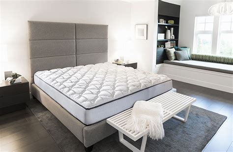 We have all sizes twin sets start @ 150 full sets start boxsprings twin, full, and queen w/ mattress $50. Courtyard Foam Mattress & Box Spring Set | Shop Exclusive ...