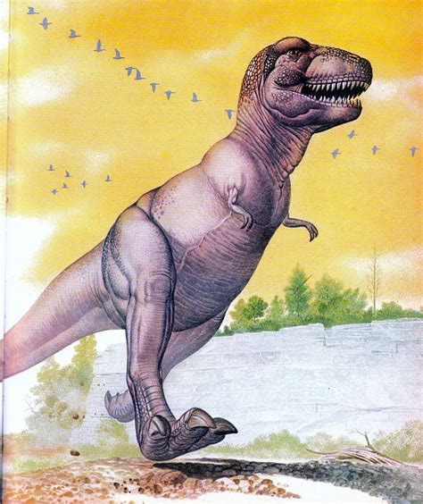 Vintage T Rex Dinosaur Art T Rex Art Dinosaur Illustration