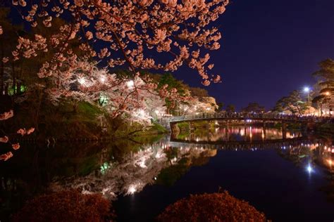 Cherry Blossoms And Takada Castle At Night — Stock Photo © Hiro1775