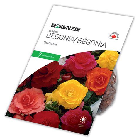 Bulbes de bégonia McKenzie multicolore paquet de 7 bulbes 141051