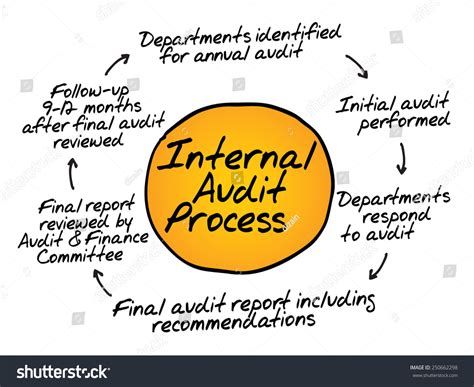 Internal Audit Process Flow Chart Business Concept Stock Vector
