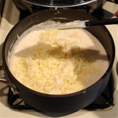 Easy, delicious and healthy mozzarella cheese sauce recipe from sparkrecipes. Parmigiana-mozzarella Cheese Sauce Recipe