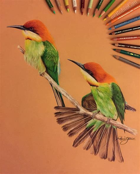 Colored Pencil Drawing By Robin Gan Image 9 Color Pencil Drawing