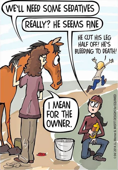 Savvy Horsewoman Equestrian Blog And Community Horse Quotes Funny