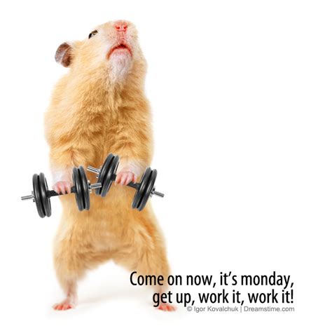 Discover words on life, work and success by walt disney, henry ford, michelle obama, da vinci, and lots more. Monday - Meme Quotes