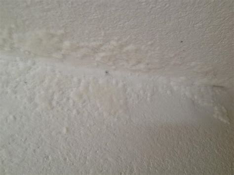 Den vermieter als schuldigen an der schimmelbildung entlarven würden, lässt sich diese faustregel definieren: Schimmel im Zimmer (Miete) (Wohnung, Mietwohnung, Wand)