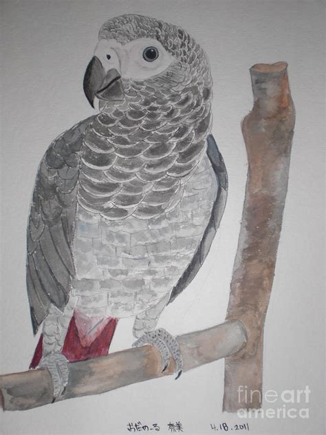 African Grey Parrot Painting By Nami Odonnell Pixels