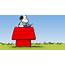 Snoopy High Definition Backgrounds And Wallpapers  All HD
