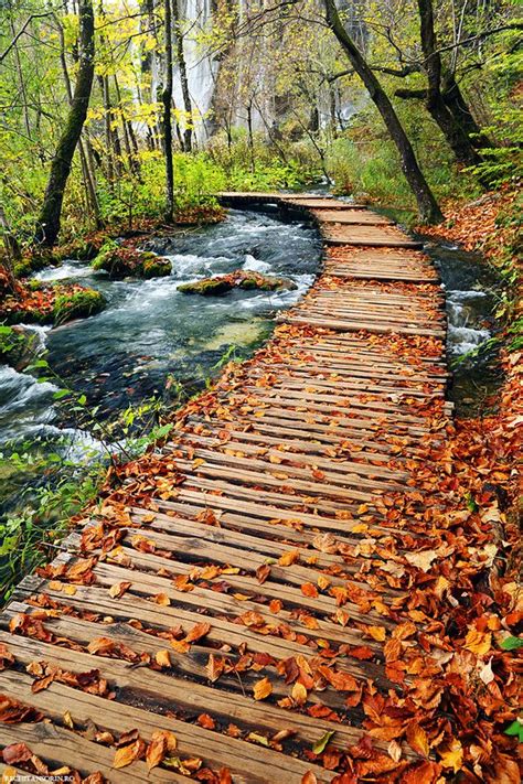 Autumn Pathway Beautiful Places Beautiful Landscapes Beautiful Nature