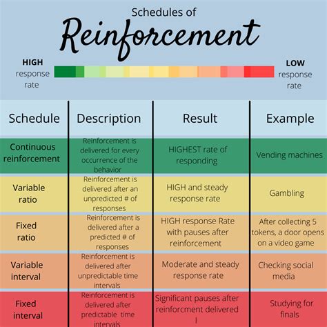 Schedules Of Reinforcement What You Need To Know Parent Graph