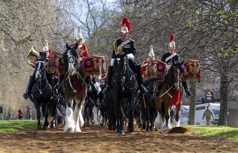 The Household Cavalry Passes Their Final Test For The Platinum Jubilee