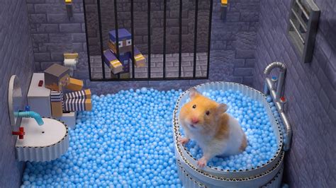 The Best Hamster Challenges 2 Hamster Escapes From The Most Amazing