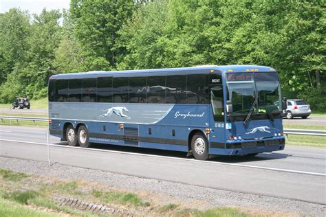 153153 Greyhound Bus 86041 Albany Ny Thruway Photos New Flickr