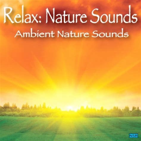 Nature Sounds Relaxation And Tibetan Chakra Meditation Music For Relaxation Meditation Deep