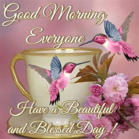 Good Morning Everyone Have A Beautiful And Blessed Day
