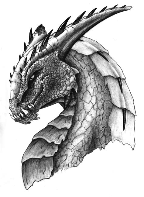 Dragon Drawings