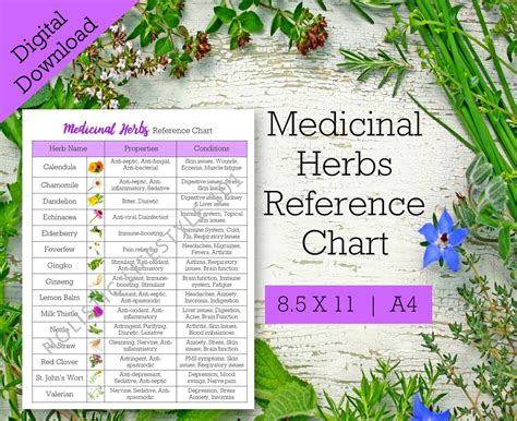 Medicinal Herbs Reference Chart List Of Herbs Printable Etsy