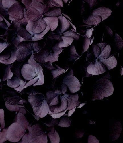 If the aim is luxury, plum is a color that works wonders. aubergine color to go with the beautiful rose peach/pink ...