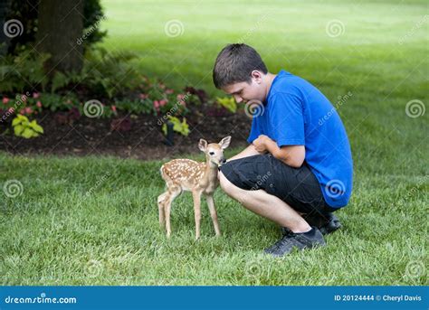 Boy With Baby Deer Stock Photo Image Of Wildlife Male 20124444