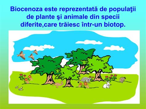 Ppt Biotopul Şi Biocenoza Powerpoint Presentation Free Download Id