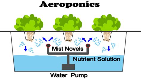 Aeroponics Nosoilsolutions