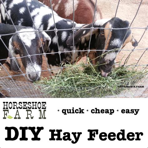Diy Hay Feeder — Horseshoe Farm