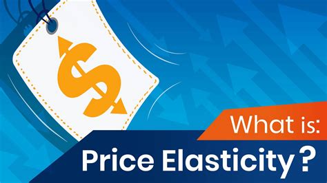 What Is Price Elasticity 365 Data Science
