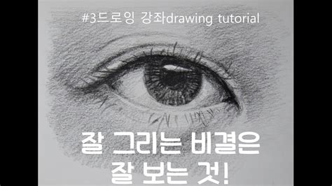 드로잉강좌 Drawing Tutorial 3 잘 그리는 것은 잘 보는 것이다 Youtube