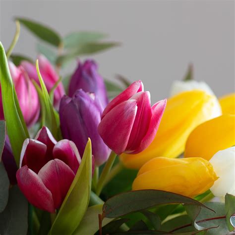 Why This Colourful Tulip Bouquet Is Our Favourite In March