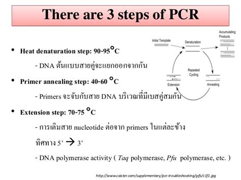 This is accomplished by heating the starting material to temperatures of about 95 °c (203 °f). Principle of PCR