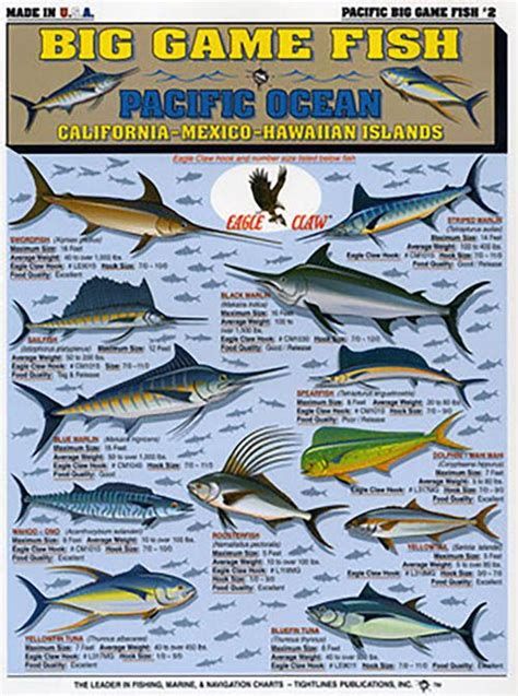 Saltwater Fishing Charts And Saltwater Fish Identification Charts And