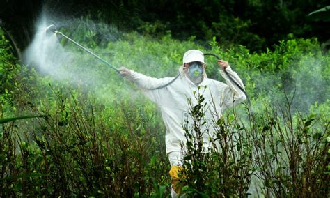 Agrotóxicos São Detectados Na água De 25 Das Cidades Do Brasil