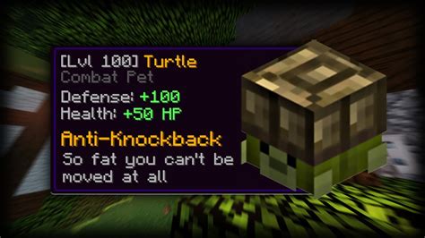 The Best Pet for Dungeons & Slayers (Hypixel Skyblock ...