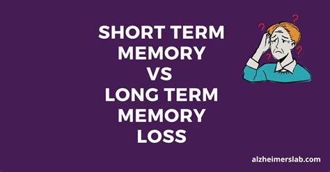 short term memory vs long term memory loss alzheimerslab