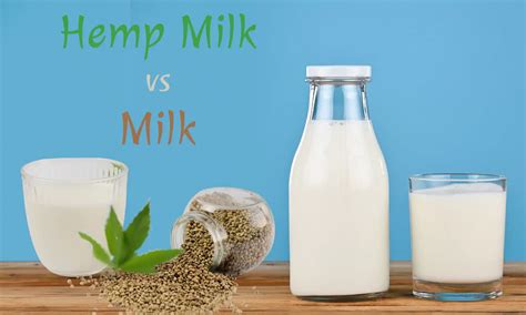 Hemp Milk Vs Milk The Ultimate Verdict The Coconut Mama