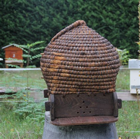 First Visit To A Beekeeper Bee Keeping Bee Skep Bee Hive