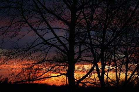Sunset Through The Trees In Memoriam Etva101 Flickr