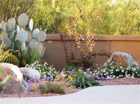 Native Plants For An Arizona Southwest Landscape Watters Garden