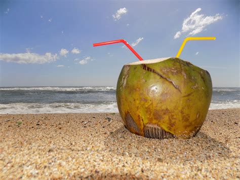 Free Images Beach Sea Sand Sun Fruit Food Paradise Produce Tropical Holiday Island