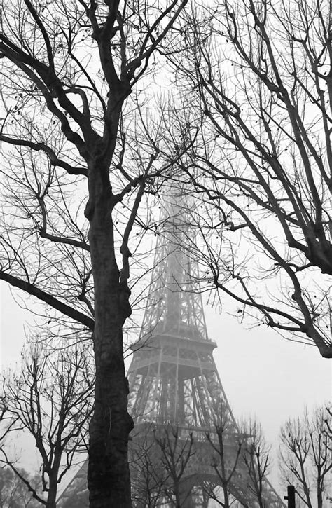 Tower Through The Trees Photograph By Art Block Collections Fine Art